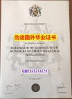 办理大学本科硕士《Edge Hill毕业证顺丰空运 】造假学士毕业证成绩单
