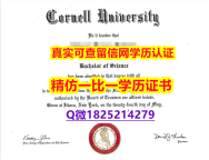 办理研究生【美国康奈尔大学毕业证怎么样办】伪造假学历