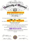 学位认证国内认可【美国密苏里科技大学毕业证-学位证书是什么】补办毕业证成绩单