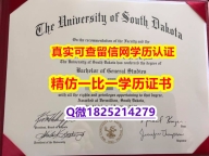 学校最新版【美国南达科他大学毕业证造假案例】办国外文凭可找工作