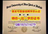 补办本科【美国纽约州立大学布法罗分校毕业证修改】伪造毕业证