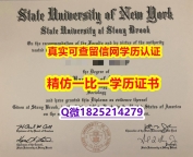 【留学德国】【美国纽约州立大学-石溪分校毕业证本科学历】国外烫金照片