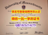 伪造国外学历【美国麻省大学达特茅斯分校毕业证证书】有本科却要求硕士又怎么办?