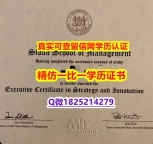 『海外假学位证书学位认证』【美国斯隆管理学院毕业证怎么样做】国外烫金照片