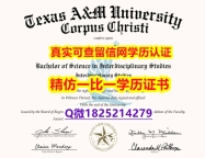 办理大学本科硕士【美国德州农工大学毕业证哪里有卖】伪造硕士成绩单