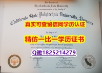 心理学专业【美国加州州立理工大学波莫纳分校毕业证电子版】补办硕士成绩单