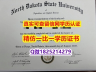 复刻原版【美国北达科他州立大学毕业证硕士offer】补办研究生文凭证书