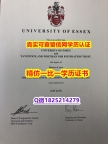补办学士假学历【英国埃塞克斯大学毕业证全套伪造】办理本科毕业证成绩单