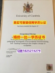 双学位证 【英国哥比亚大学毕业证细节实拍图】办国外文凭可找工作