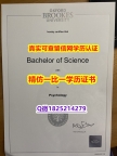 补办【英国牛津布鲁克斯大学毕业证钢印完美】外国文凭在中国可以用吗?