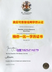 办理本科【英国德蒙福特大学毕业证在哪里可以制作】办理硕士成绩单