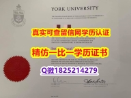 购买本科假学历【加拿大约克大学毕业证代做】办理研究生学位证书