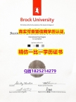 补办硕士假学历【加拿大布鲁克大学毕业证哪里有卖】伪造硕士毕业证