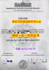 买精仿【德国明斯特大学毕业证在哪里可以办理】办理硕士假学历