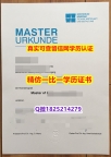 安全学历认证【德国康斯坦茨大学毕业证办理案例】伪造本科毕业证成绩单