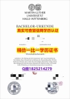 本科学位证书【德国哈勒-维滕贝格大学毕业证补办】【留学加拿大】