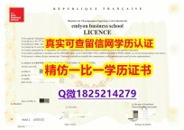 国外文凭制作【法国里昂商学院毕业证快速拿到】购买硕士毕业证成绩单