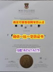 国外文凭办理【新西兰怀特克利夫艺术设计学院毕业证认证】伪造学士学位证书