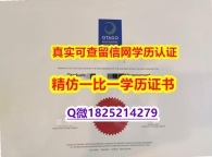 购买【新西兰奥塔哥理工学院毕业证防伪工艺】补办假学历