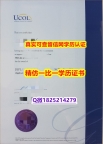 绿色通道认证【新西兰联合理工学院毕业证办理】办理学士毕业证