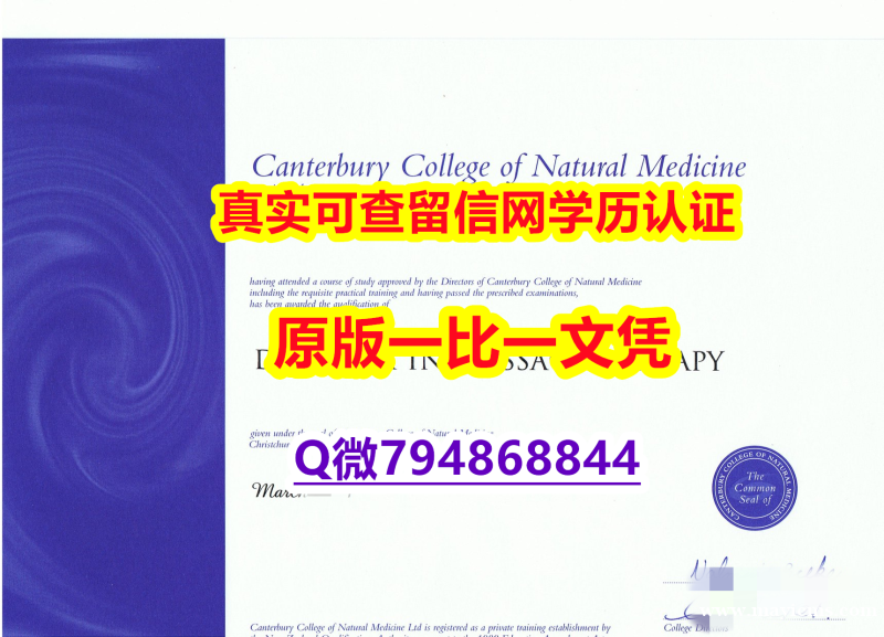 本科学生伪造《泰瑞维提理工学院毕业证2024版】外国毕业证书在中国可以用吗? 本科学生伪造《泰瑞维提理工学院毕业证2024版】外国毕业证书在中国可以用吗?