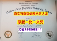 伪造本科《Cal Poly Pomona毕业证靠谱吗?】双硕士学历怎么办理