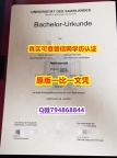 成绩单分数《萨尔大学毕业证2024版】伪造学士文凭证书