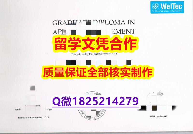 补办学士学位证书【新西兰惠灵顿理工学院学历认证留信网本科毕业证制作❤️】造假学士文凭证书 补办学士学位证书【新西兰惠灵顿理工学院学历认证留信网本科毕业证制作❤️】造假学士文凭证书