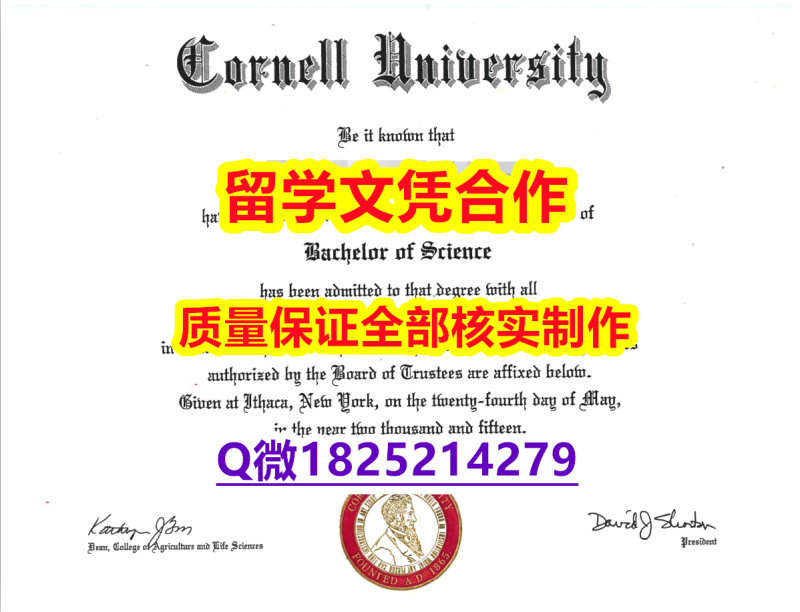 美国毕业证书【美国康奈尔大学学历认证留信网本科毕业证留学生伪造】澳洲毕业证 美国毕业证书【美国康奈尔大学学历认证留信网本科毕业证留学生伪造】澳洲毕业证