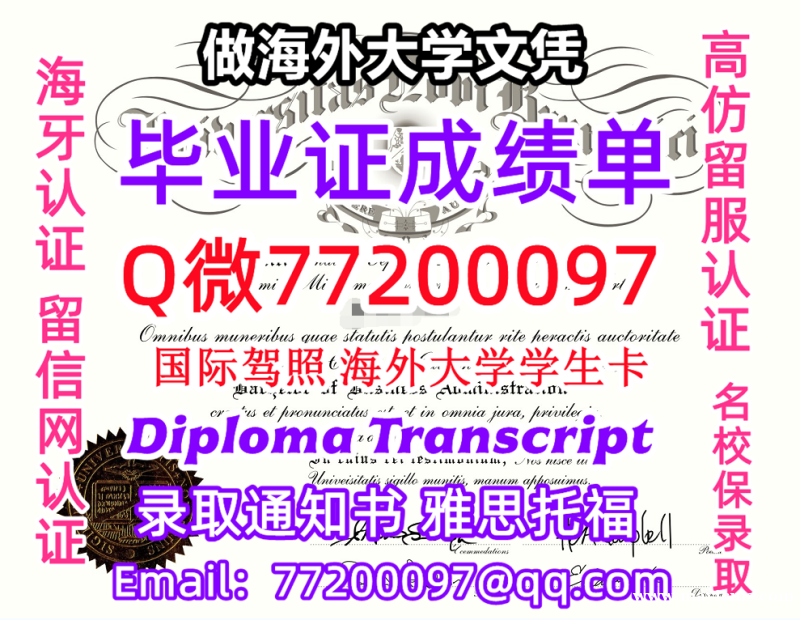 成绩单学历高仿UNB毕业证书成绩单Q微77200097新不伦瑞克大学留服认证精仿有UNB文凭证书能做 成绩单学历高仿UNB毕业证书成绩单Q微77200097新不伦瑞克大学留服认证精仿有UNB文凭证书能做