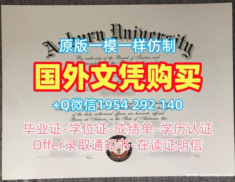 复刻比萨大学本科毕业证书unipi学历认证报告的三大注意事项Università di Pisa Bachloer Degree 复刻比萨大学本科毕业证书unipi学历认证报告的三大注意事项Università di Pisa Bachloer Degree