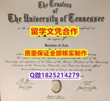 学历证书是毕业证还是学位证【美国田纳西大学学历认证留信网本科毕业证全套购买】补办成绩单