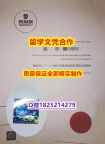 伪造研究生毕业证【澳洲迪肯大学学历认证留信网本科毕业证在哪里可以造假】办美国成绩单