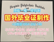 办理佛罗伦萨大学硕士毕业证unifi转学成绩单的五个步骤Università di Firenze Academic Transcript