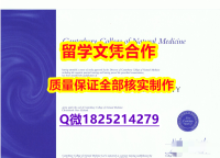补办研究生毕业证【新西兰泰瑞维提理工学院学历认证留信网本科毕业证复制】伪造学位证书