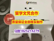 永久存档 无风险 【新西兰怀卡托理工学院学历认证留信网本科毕业证制作❤️】学历认证 研究生