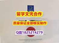 仿原版【新西兰奥塔哥理工学院学历认证留信网本科毕业证全套】办理国外毕业证价格