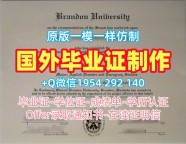 如何顺利办理新墨西哥大学毕业证书扫描件nmsu学历认证报告？University of New Mexico Bachloer Degree