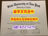 精仿/高仿【美国奥尔巴尼大学学历认证留信网本科毕业证办理案例】造假本科学位证书
