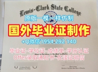 如何验证美国BMC毕业证书复印件布林茅尔学院学位证书扫描件的真伪?Bryn Mawr College Master Diploma