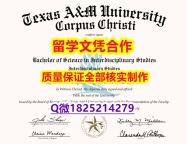 补办本科【美国德克萨斯A&M大学学历认证留信网本科毕业证2023版】国外学历认证