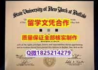 学位证书【美国纽约州立大学布法罗分校学历认证留信网本科毕业证在哪里可以伪造】造假研究生成绩单
