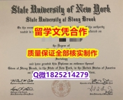 假文凭【美国纽约州立大学-石溪分校学历认证留信网本科毕业证怎么样办伪造】办理学士学位证书