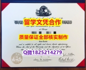 购买本科【美国伊利诺伊大学芝加哥分校学历认证留信网本科毕业证2019版】造假学士学位证书