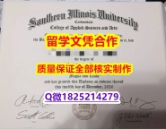 ☀️毕业证书皮套【美国南伊利诺伊州大学学历认证留信网本科毕业证怎么样办】补办研究生假学历