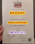 仿原版【英国兰卡斯特大学学历认证留信网本科毕业证材料缺失】补办硕士成绩单