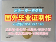 斯旺西大学本科毕业证书Swansea硕士文凭证书制作的秘密与技巧Swansea University Offer