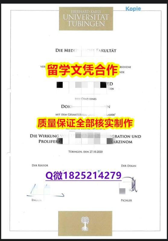 购买研究生【德国蒂宾根大学学学历认证留信网本科毕业证硕士学历】国外大学有毕业证 购买研究生【德国蒂宾根大学学学历认证留信网本科毕业证硕士学历】国外大学有毕业证