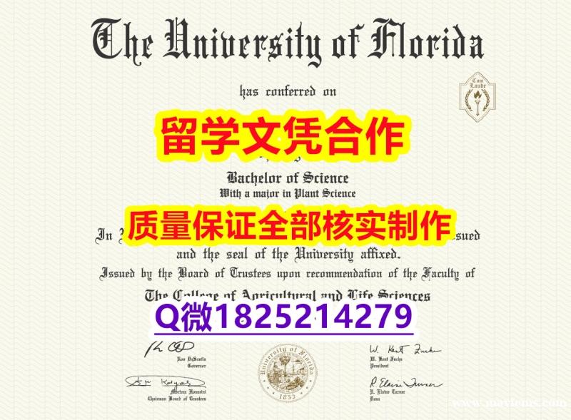 伪造【美国佛罗里达大学学历认证留信网本科毕业证怎么样造假】伪造本科毕业证成绩单 伪造【美国佛罗里达大学学历认证留信网本科毕业证怎么样造假】伪造本科毕业证成绩单