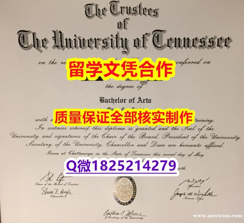 应付父母挂科办理【美国田纳西大学学历认证留信网本科毕业证怎么样办伪造】留学生在哪里购买毕业证 应付父母挂科办理【美国田纳西大学学历认证留信网本科毕业证怎么样办伪造】留学生在哪里购买毕业证